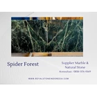 Marble Spider Forest Exclusive Royal Stone Indonesia 3