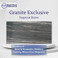 Granite Tropical Storm Bookmatch – Granit Hitam Eksotis Dramatic Vein 