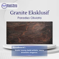 GRANITE PARADISO OLIVIATA – Granit Premium Motif Dramatis 