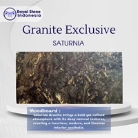 Saturnia Granite – Premium Black & Gold Granite for Dramatic Luxury Interiors