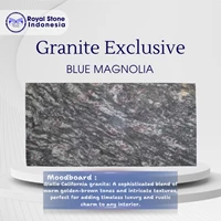 Blue Magnolia Granite Premium for Modern Luxury