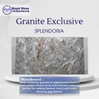 Granite Splendoria – Granit Premium Grey Artistic 1