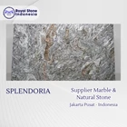 Granite Splendoria – Granit Premium Grey Artistic 3