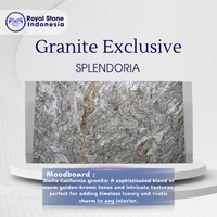 Splendoria Granite – Premium Artistic Grey Granite