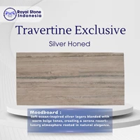 Travertine Silver Honed Premium Elegan 