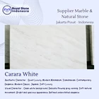Top Table Marble Carrara White 60 x 60 2