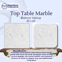 Top Table Marmer Bianco Venus 60 x 60
